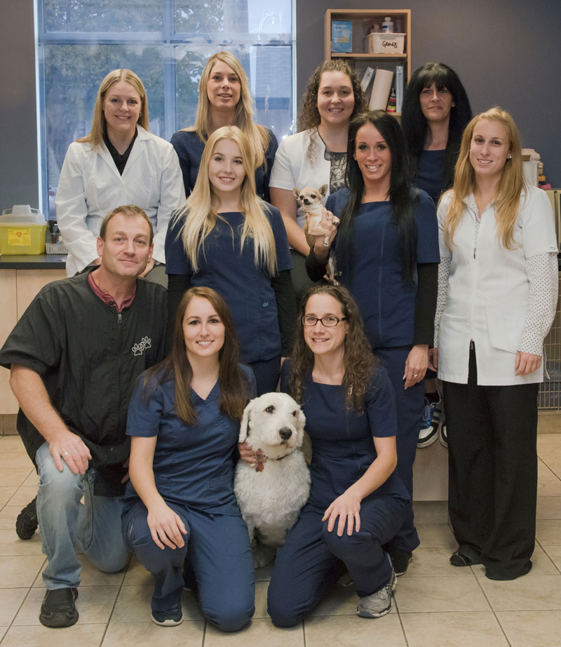 L'équipe de la Clinique vétérinaire de Lachenaie