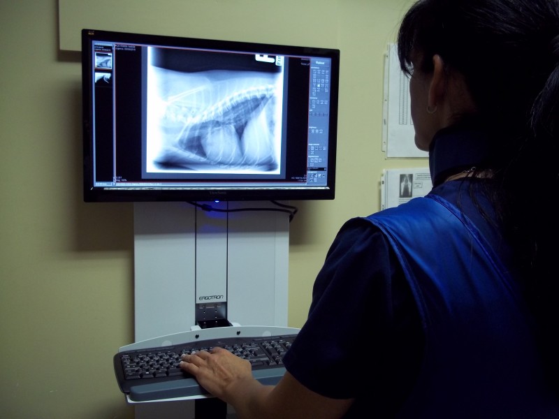 Radiographie numérique